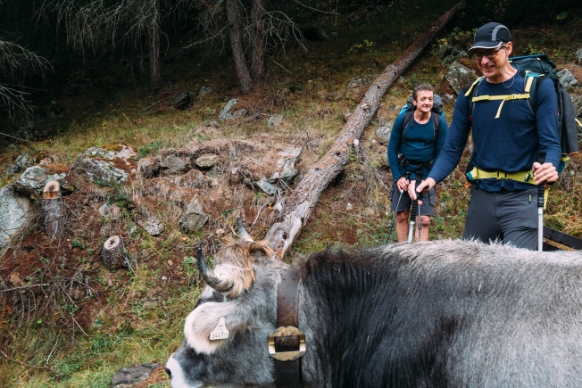 Day 8, Kai and Christoff and one of the cows that licked me