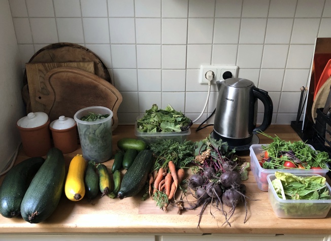 A late-summer haul: salad, orache, carrots, spinach, zucchini, cucumber, tomatoes, parsley, chard, basil, mint