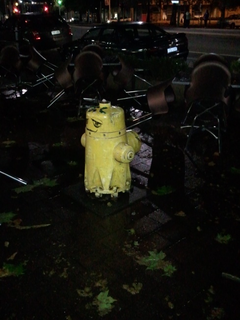 ‘Fire hydrants in Canberra look like Pikachus.’ – Instagram, 2012