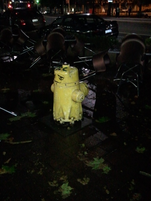 &lsquo;Fire hydrants in Canberra look like Pikachus.&rsquo; &ndash; Instagram, 2012