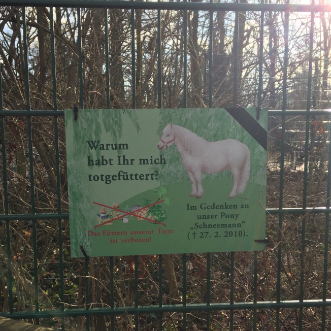 "Why did y&rsquo;all feed me to death? In memory of our Pony &lsquo;Schneemann&rsquo;."