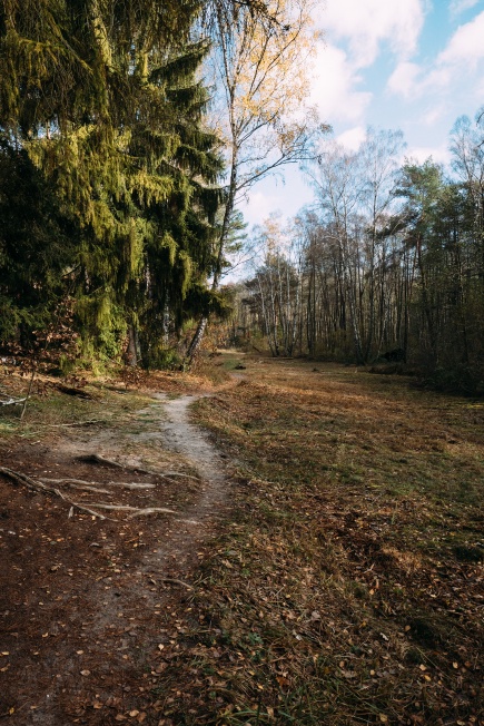 through the Löcknitztal