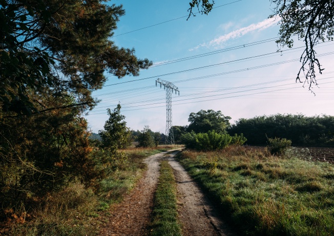 a path leading into the distance with forest and a huge electricity tower