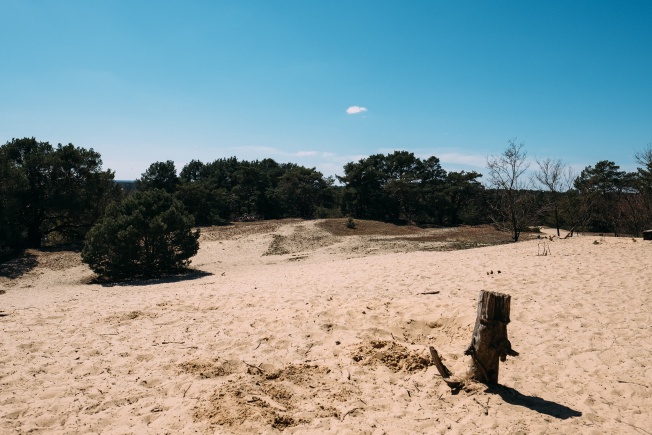 There are sand dunes on this route.