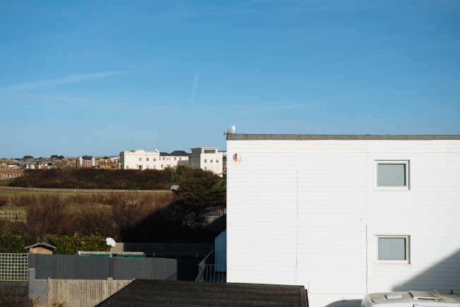 Good morning, seagull