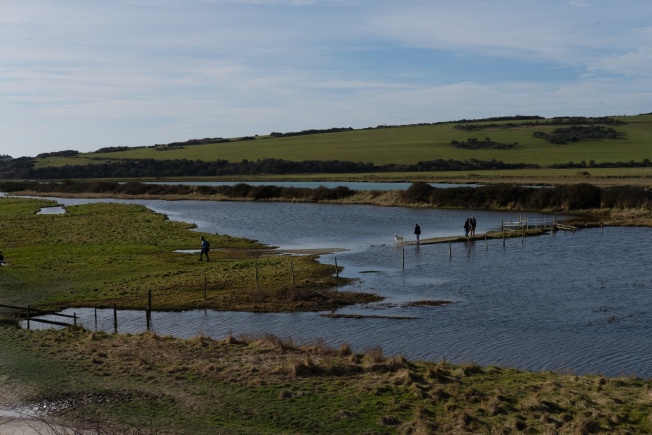 wet lands