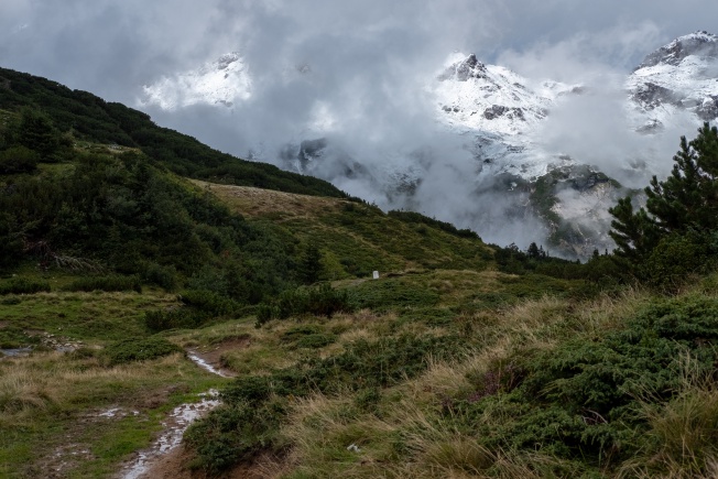 A trail through a forest, leading to snowy mountains in the background, partially obscured by low cloud