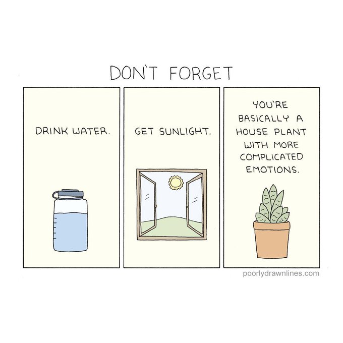 Don't forget: Drink Water. Get Sunlight. You're basically a house plant with more complicated emotions.