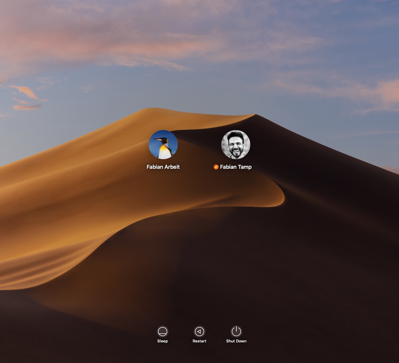 A screenshot of the login window on OSX, showing two user accounts.
