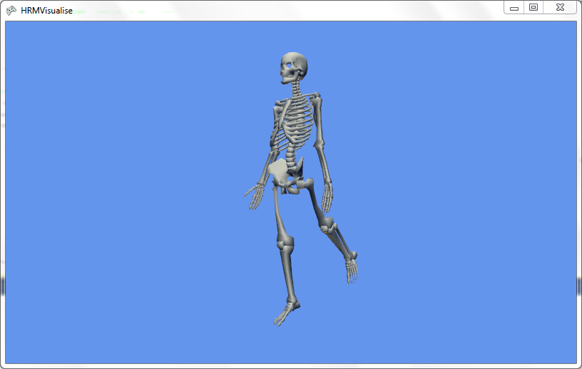 A 3D Scene, with a model of a skeleton, with a properly connected leg.