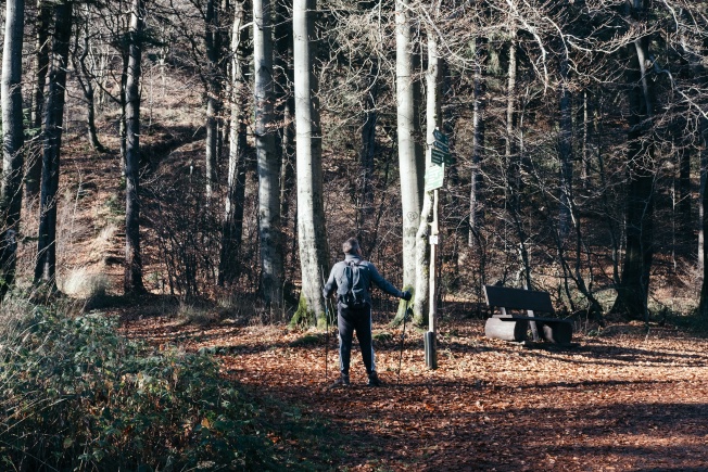 A man on a hiking trail looking at a sign and trying to figure out where he's going